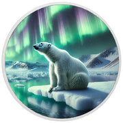 Pièce en argent Gardien des lueurs de l’Arctique