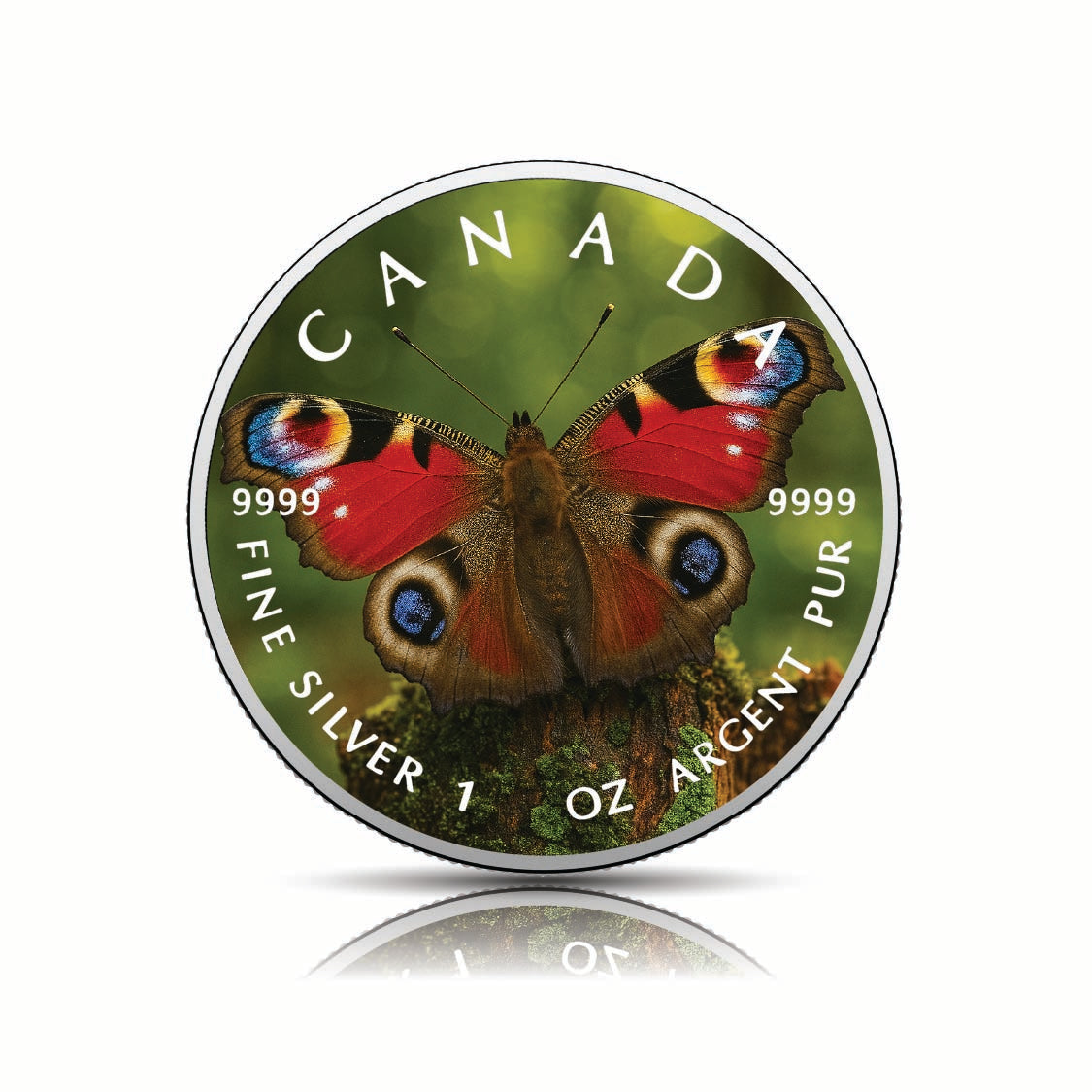 fd111a1ff6d9fca4e74244af46505048