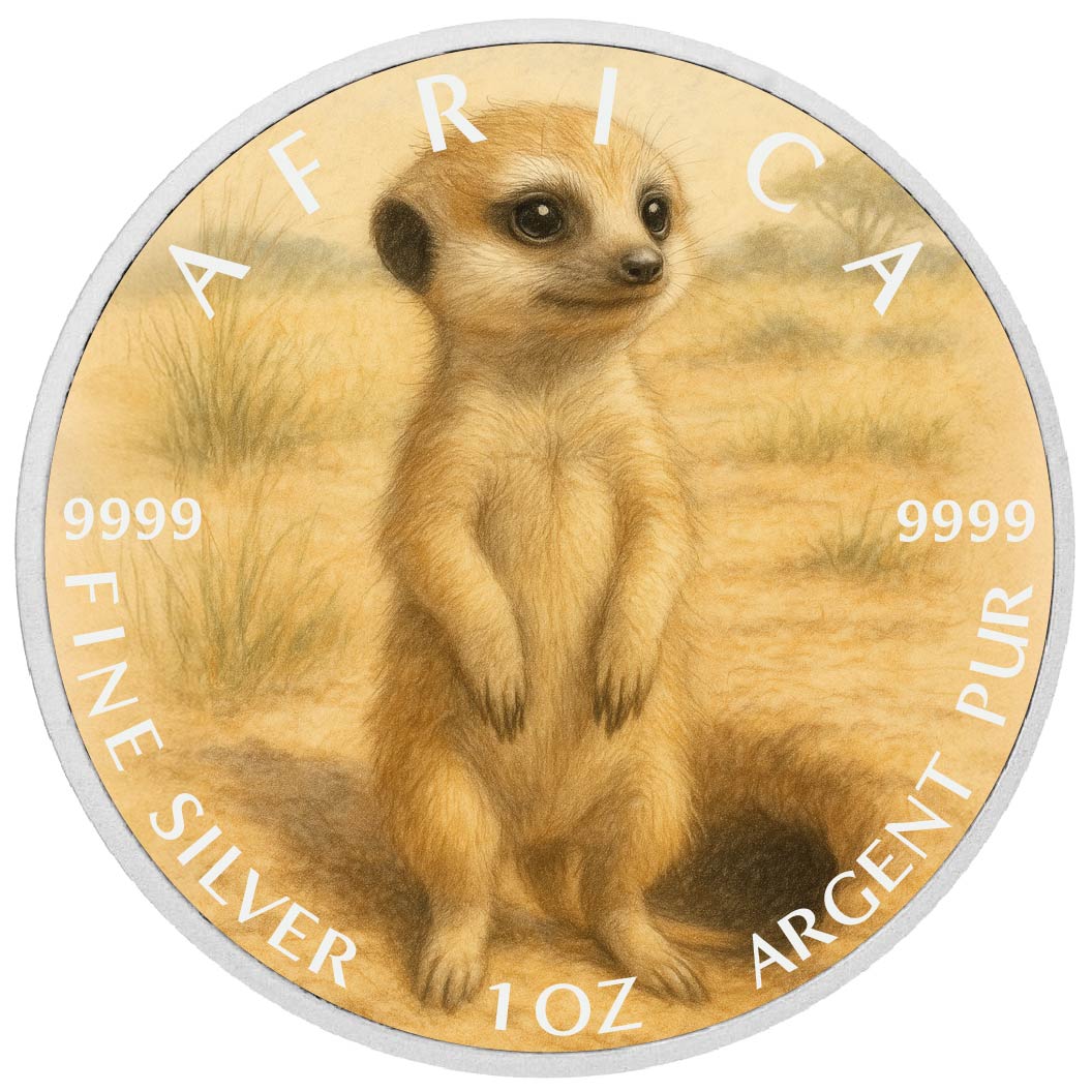 Pièce de monnaie de 1 oz en argent fin coloré « Sentinelle du désert : le suricate curieux d’Afrique »