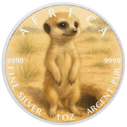 Pièce de monnaie de 1 oz en argent fin coloré « Sentinelle du désert : le suricate curieux d’Afrique »