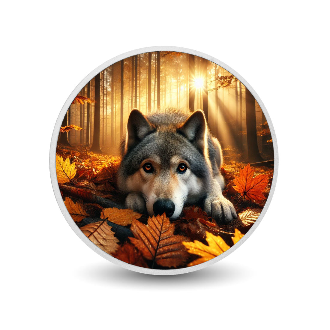 24b20473ca4bde5411288311fa4d9531