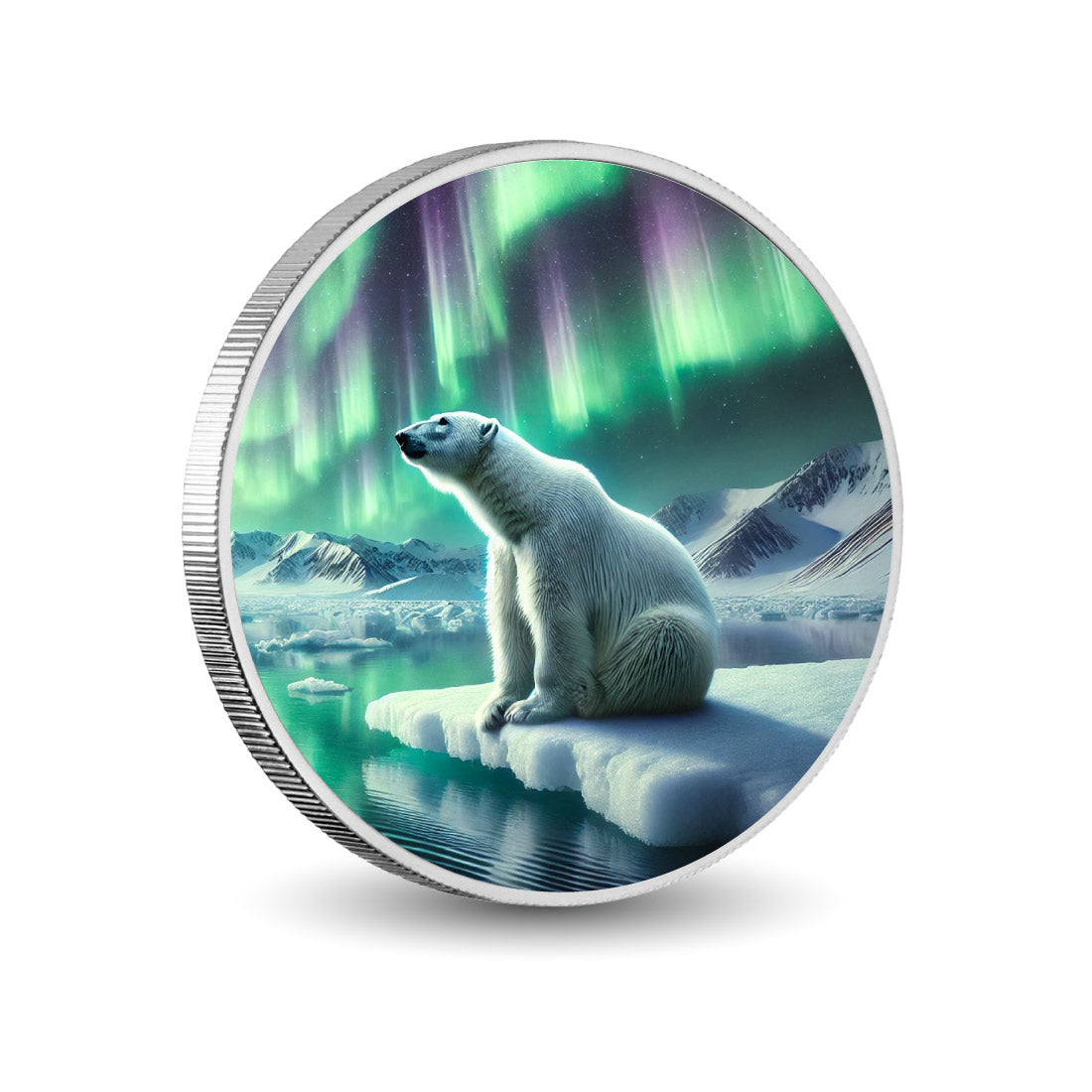 Pièce en argent Gardien des lueurs de l’Arctique