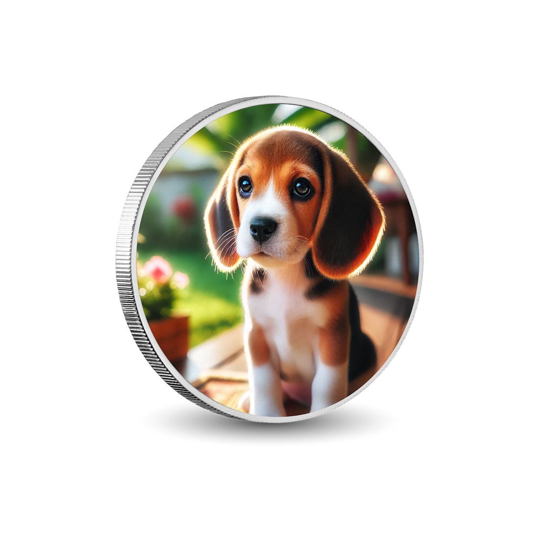 Petit chiot curieux 1oz Pièce colorée en argent