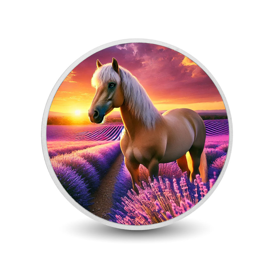 56c2c64ff50779d9fcc4b547a42f9c12