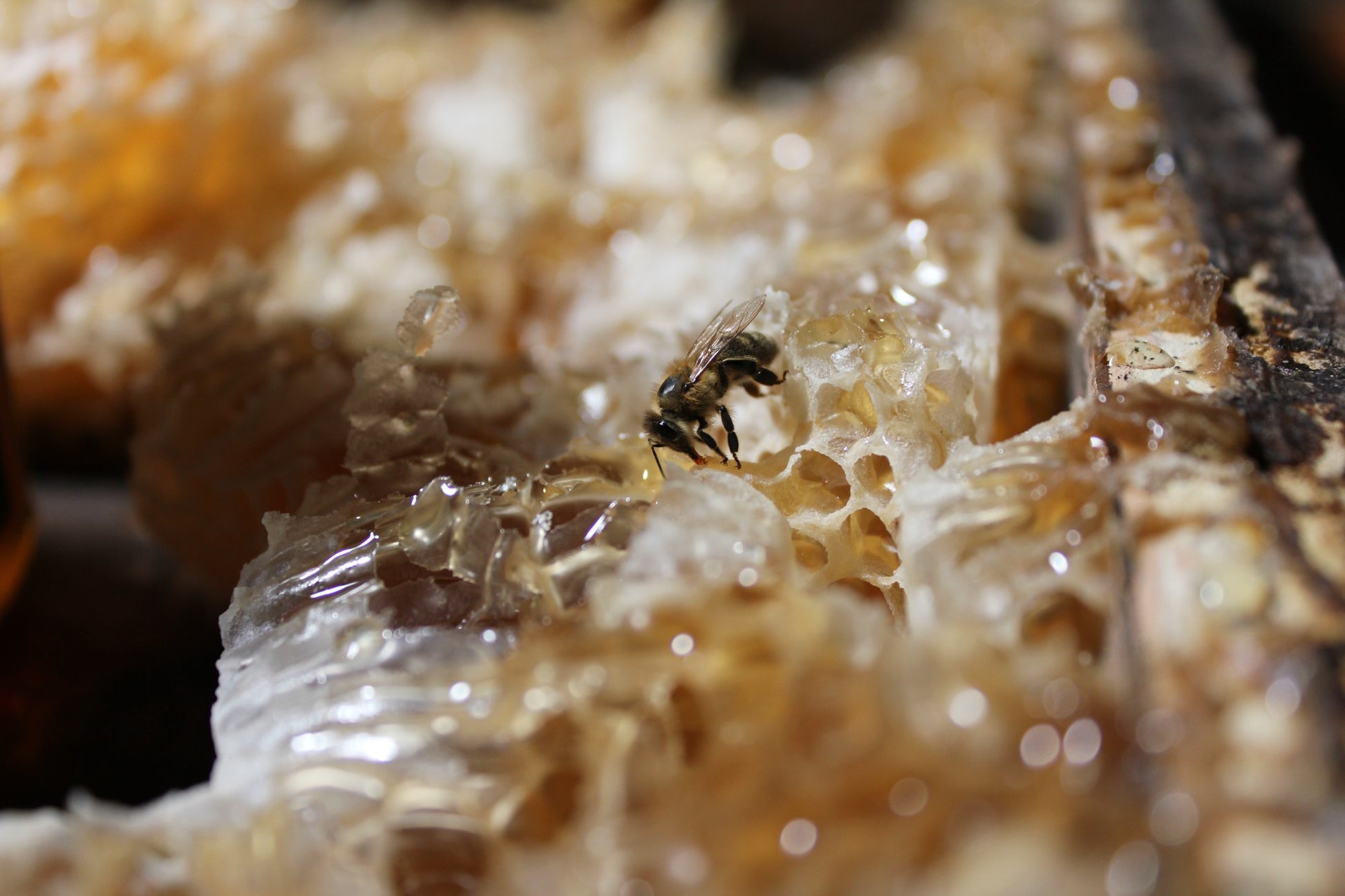 b5cbd9e40e213e3d4ec7ad25abb39ca5