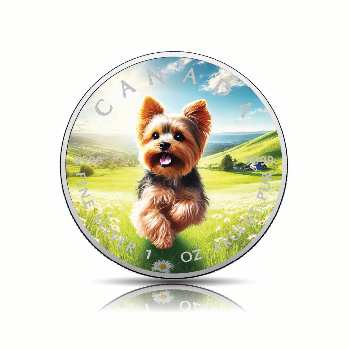 fe902728b1d267209ec4c0250c8f42c5