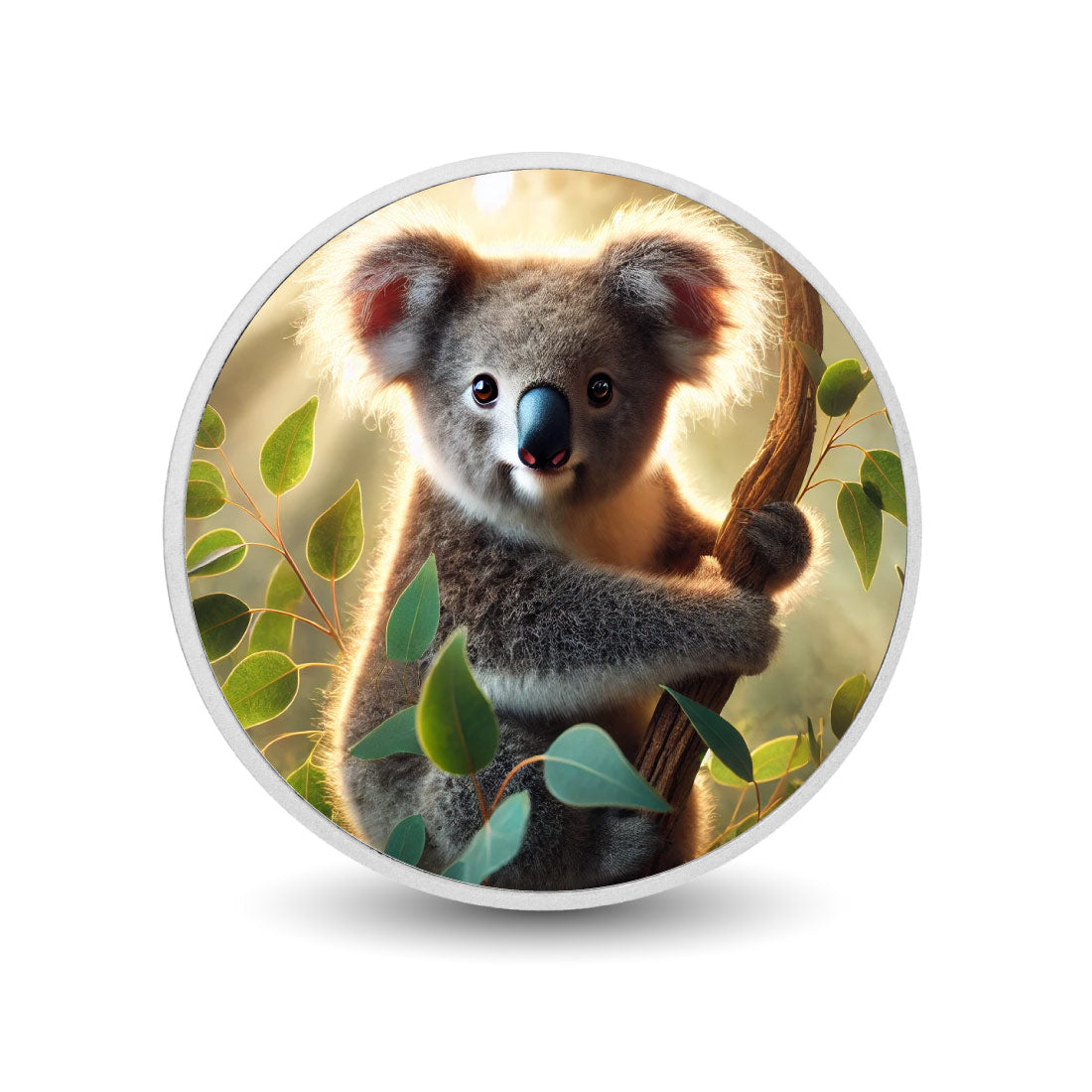 Perchoir feuillu : le koala dans la lumière des eucalyptus, pièce colorée