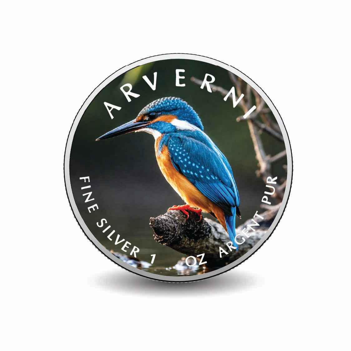 Flash of Blue  2026 American Silver Eagle 1oz 999 Fine Silver BU Colorized Coin