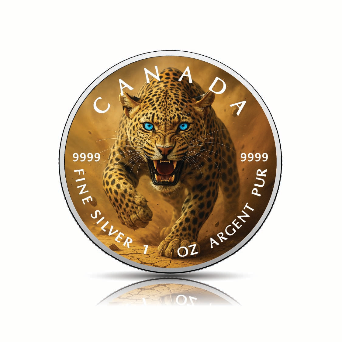 1e2b179463d76b61fa4b94188cd154c6