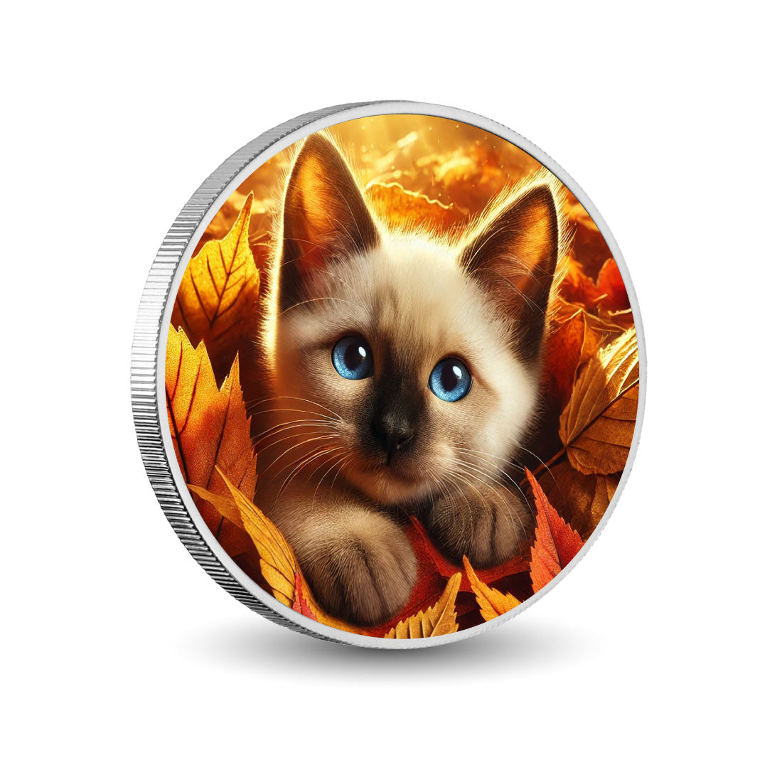 478ecfbe87a26328401233af6d6b1d79