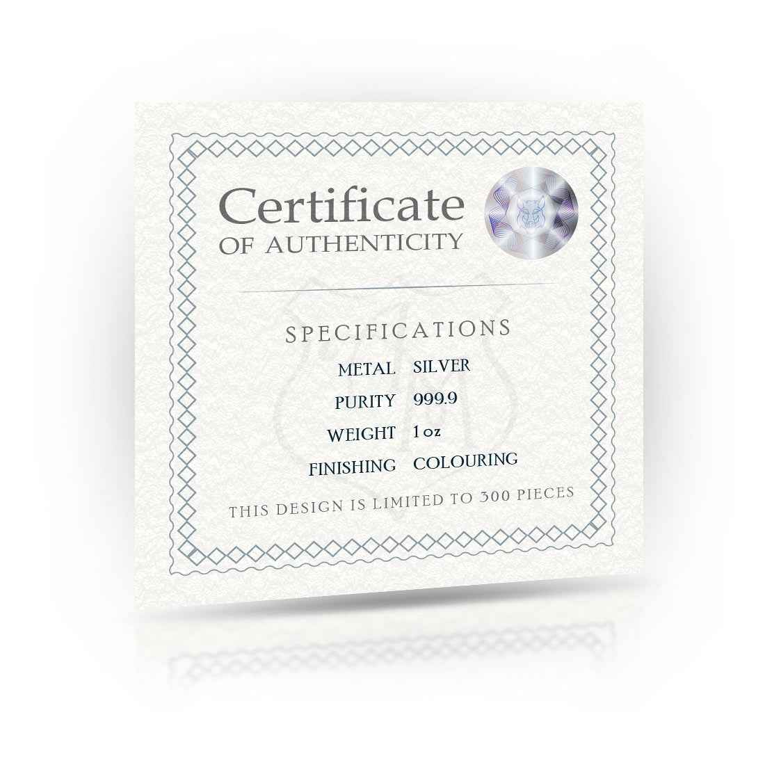 Baby Boy's Christening 1oz Silver Coloured Coin