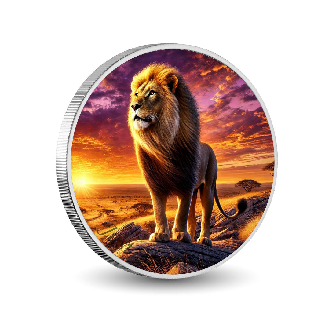Roi de la savane au crépuscule, pièce d’argent