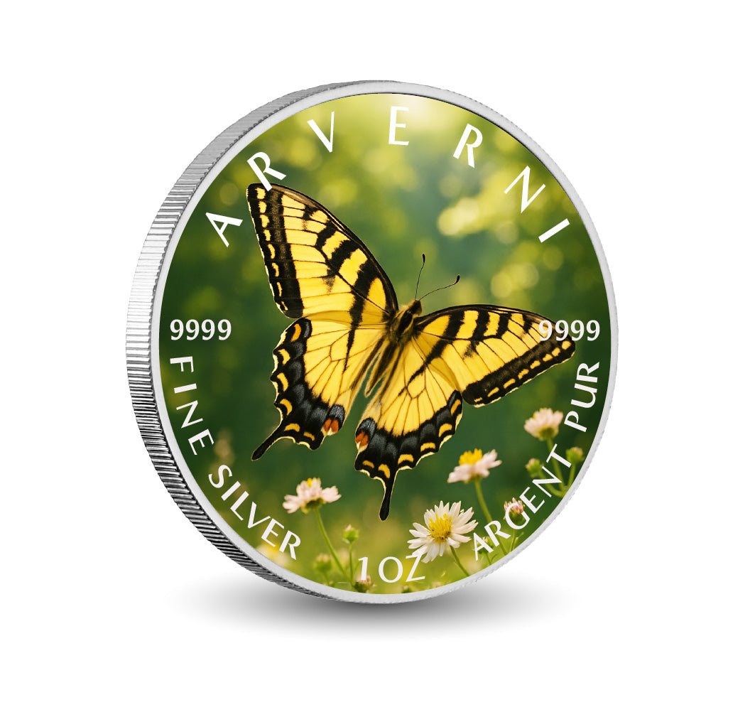 Pièce de monnaie de 1 oz en argent coloré « Ailes dorées de l’été »
