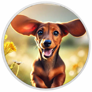 84efbe57daeb8655cb0d0f8a8b018c46