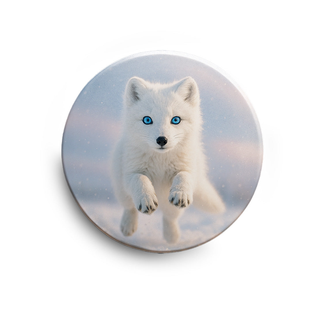 512626536fcdf2812e85ccf6ea029f46