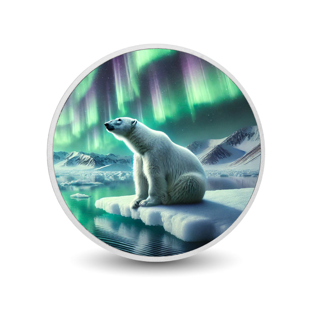 Pièce en argent Gardien des lueurs de l’Arctique