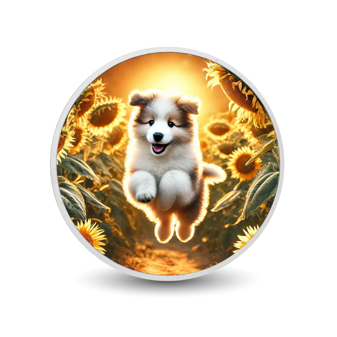 dc7b523546a439aac8f98d6b31c167a9