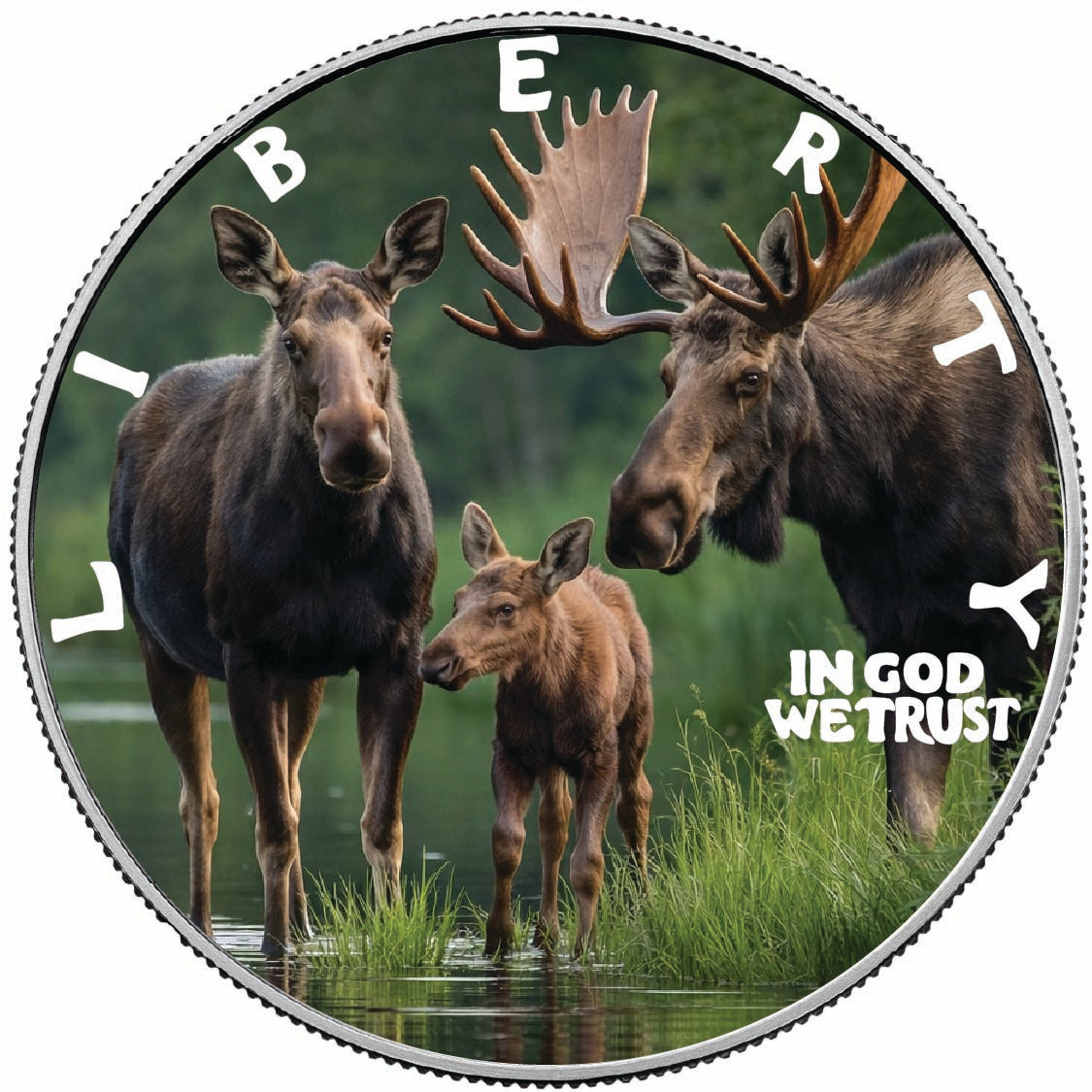 Family by the River 2026 1oz 999 Silver BU Colourized