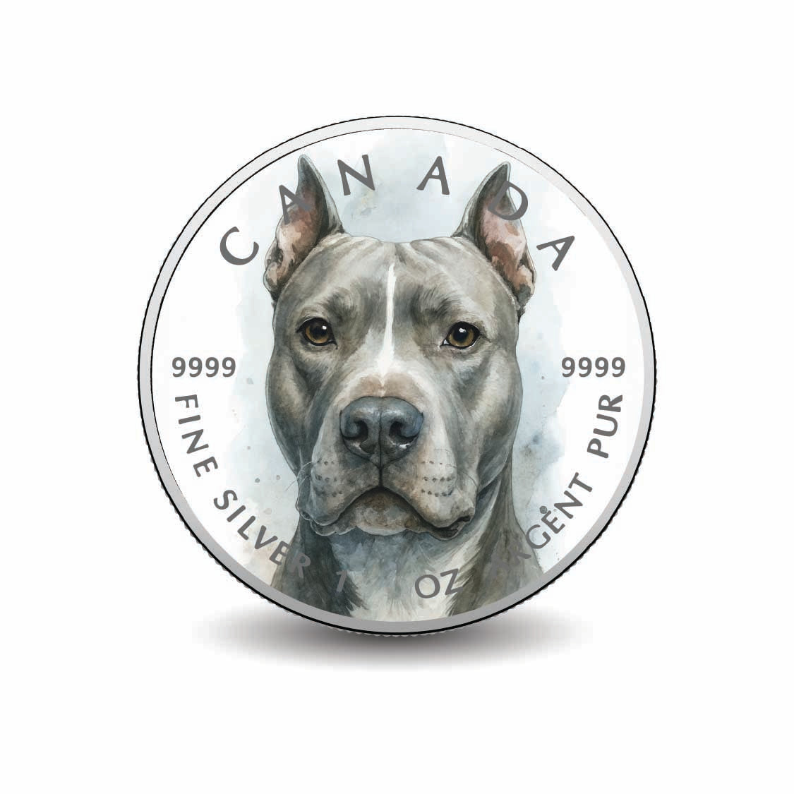 258d2c7130e9ae79c598befb16c9bcd4