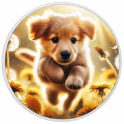 6023c23182a8d7523c9709c4d0ee22f1