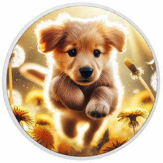 6023c23182a8d7523c9709c4d0ee22f1