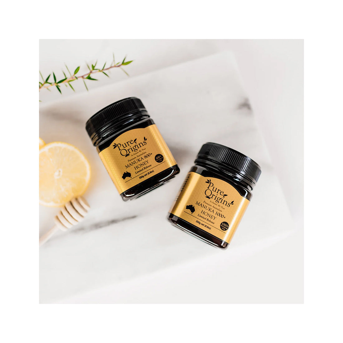 ed1e07226ba3afd376e9f40f0454fa1a