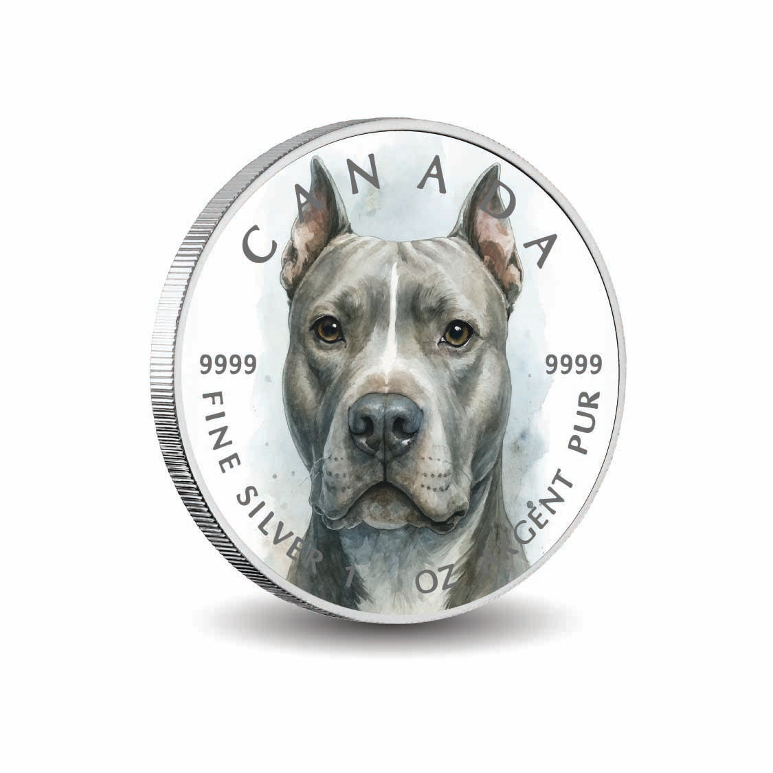 440e98f668d84fc913a7f07c27206940