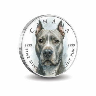 440e98f668d84fc913a7f07c27206940