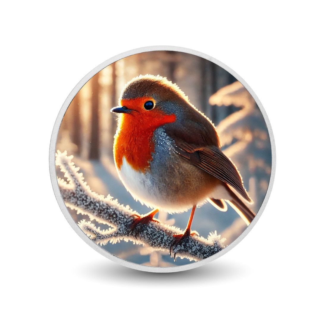 Winter's Flame: A Robin's Glow 1oz Silver
