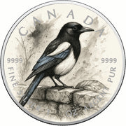 05aef47c34269e28c68338cb85e3d411