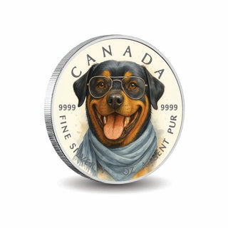 c617d585c721f58a7d80f93271c66f21