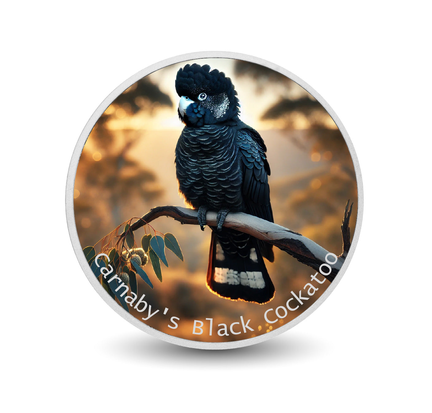 Twilight Guardian: Carnaby's Black Cockatoo 1oz Coloured Silver