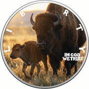 Morning Walk 2026 1oz 999 Silver BU Colourized