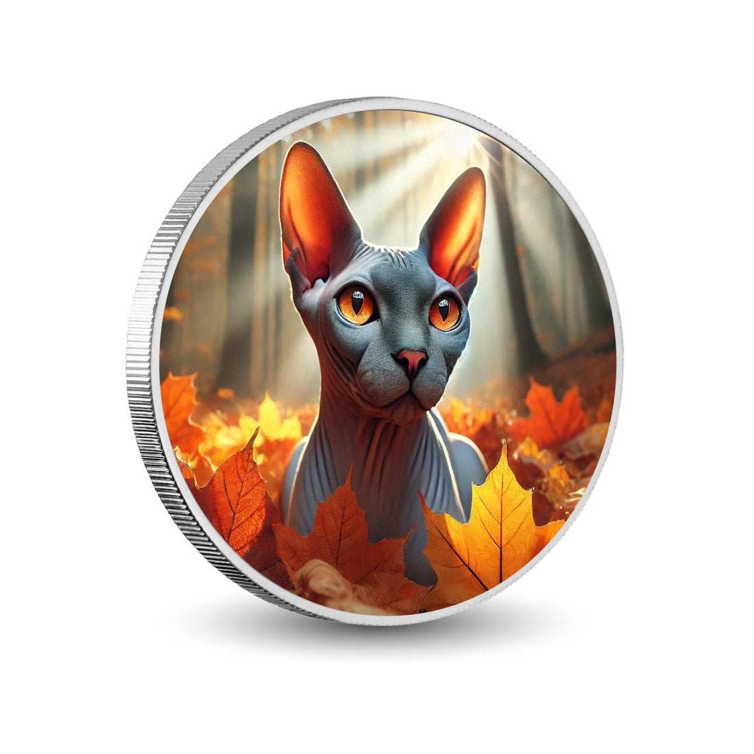 bd703b2fc8043403302191112982ec29