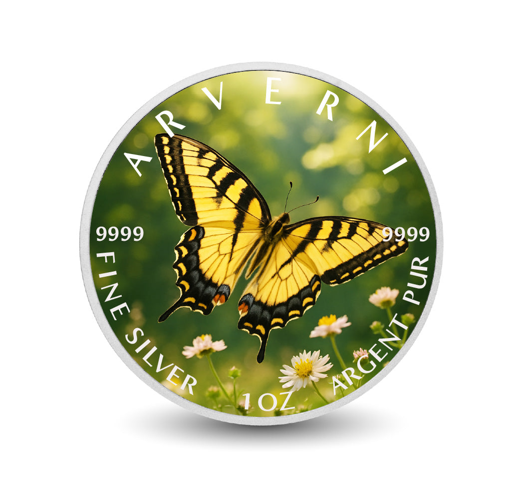 Pièce de monnaie de 1 oz en argent coloré « Ailes dorées de l’été »
