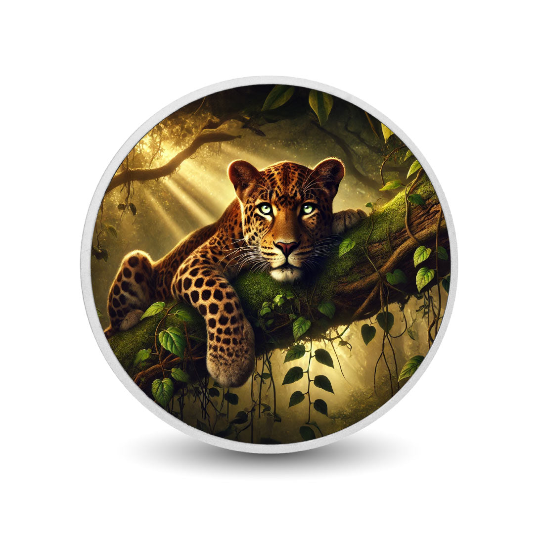 b6da4374cb4b285cf344a5bee9fbd9bd