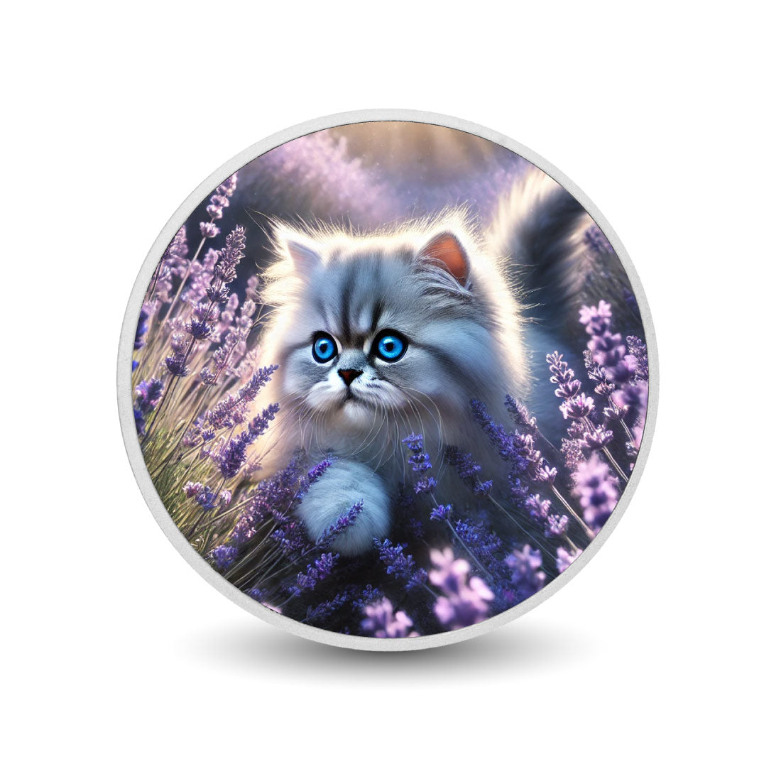 1cca988db19e18a94e1d5078946ba3c3