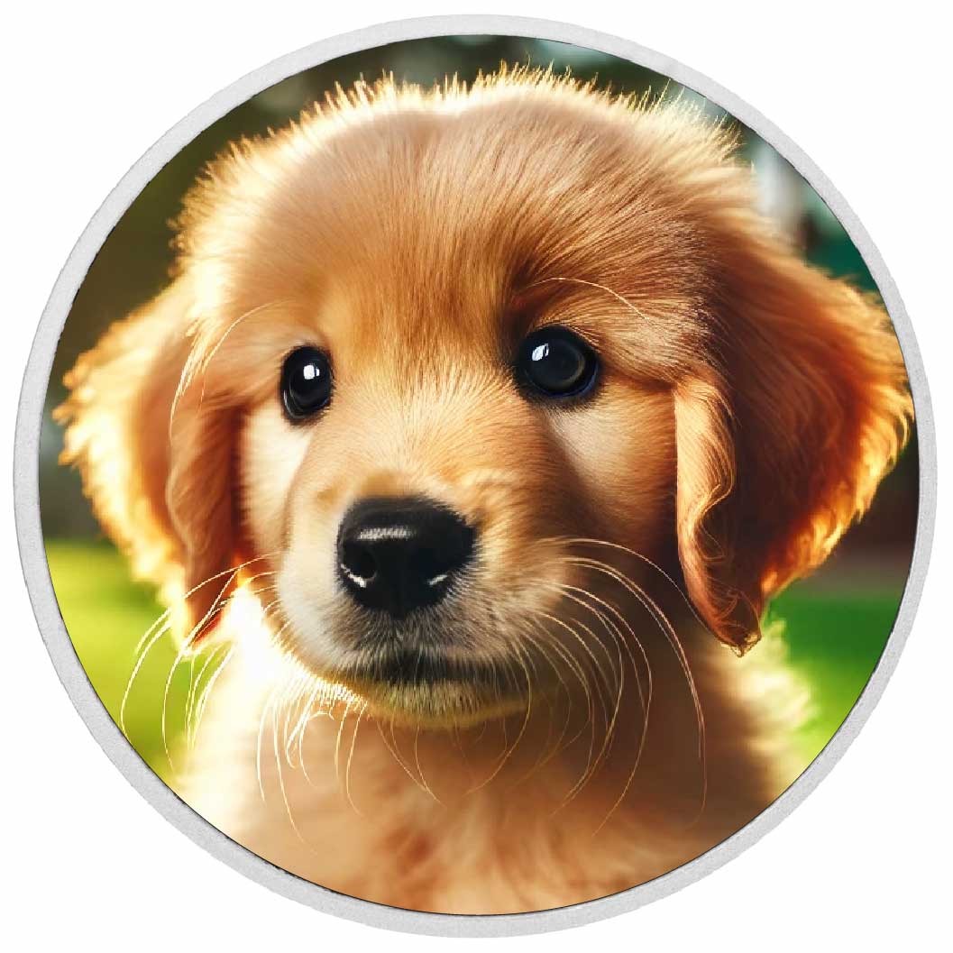 Golden Puppy Glow 1oz Silver Coloured Coin - Arverni Mint