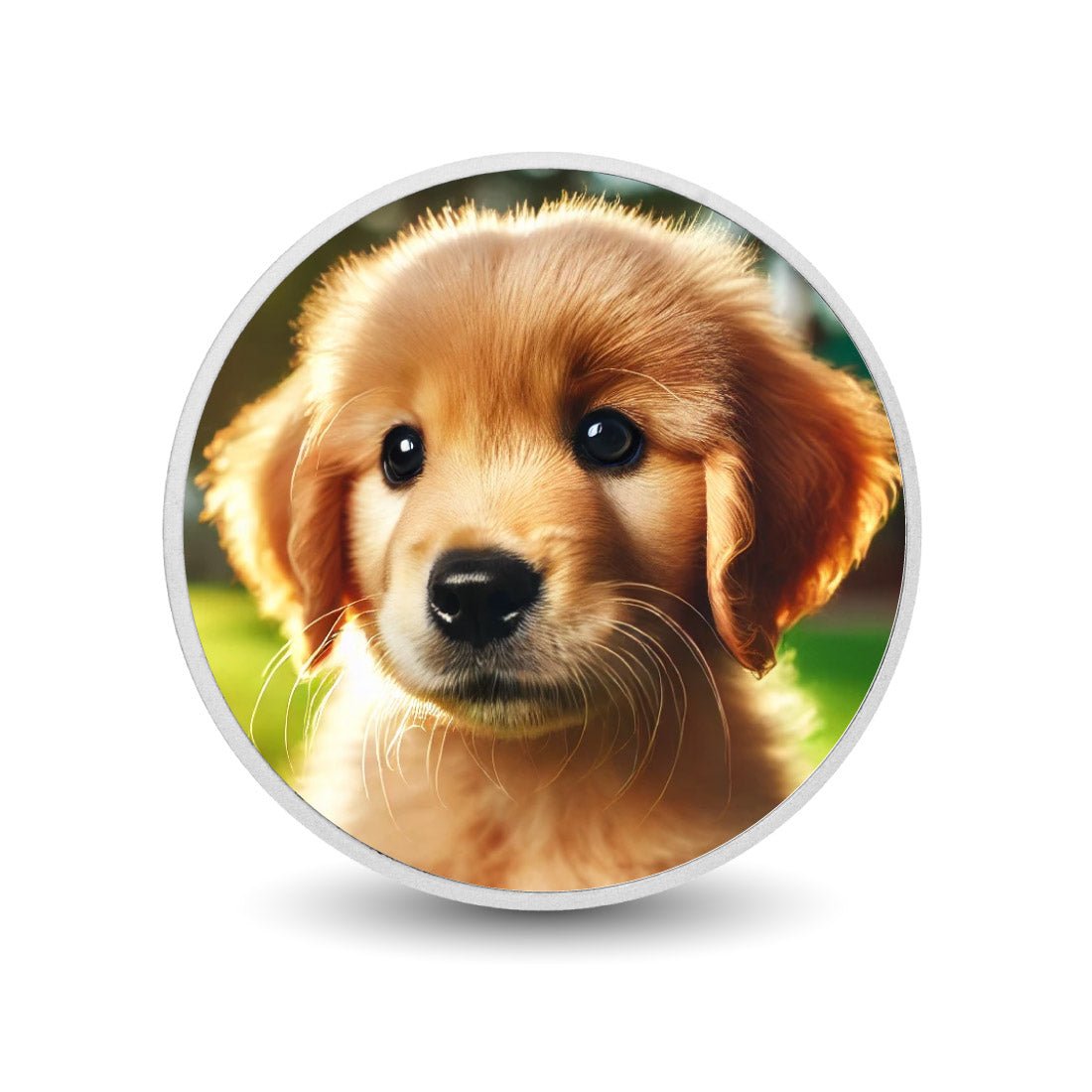 Golden Puppy Glow 1oz Silver Coloured Coin - Arverni Mint