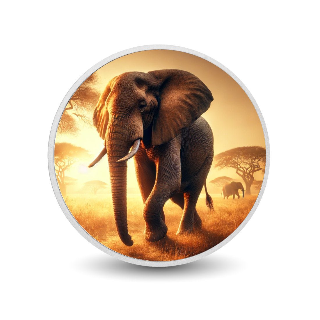 Golden Stroll: Elephants of the Savannah Coloured Coin - Arverni Mint