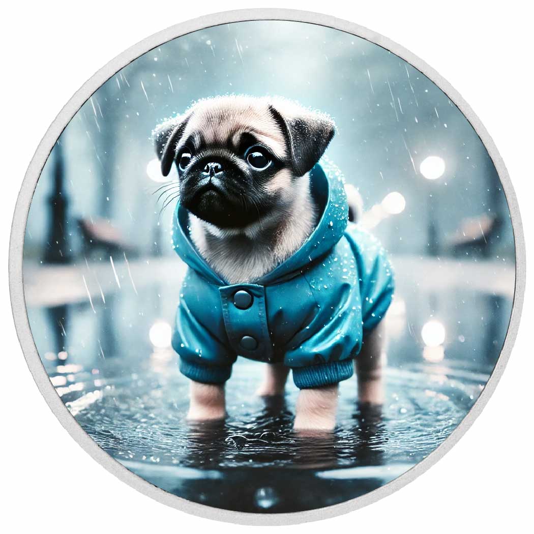 Midnight Showers: Pug in a Blue Raincoat 1oz Coin - Arverni Mint