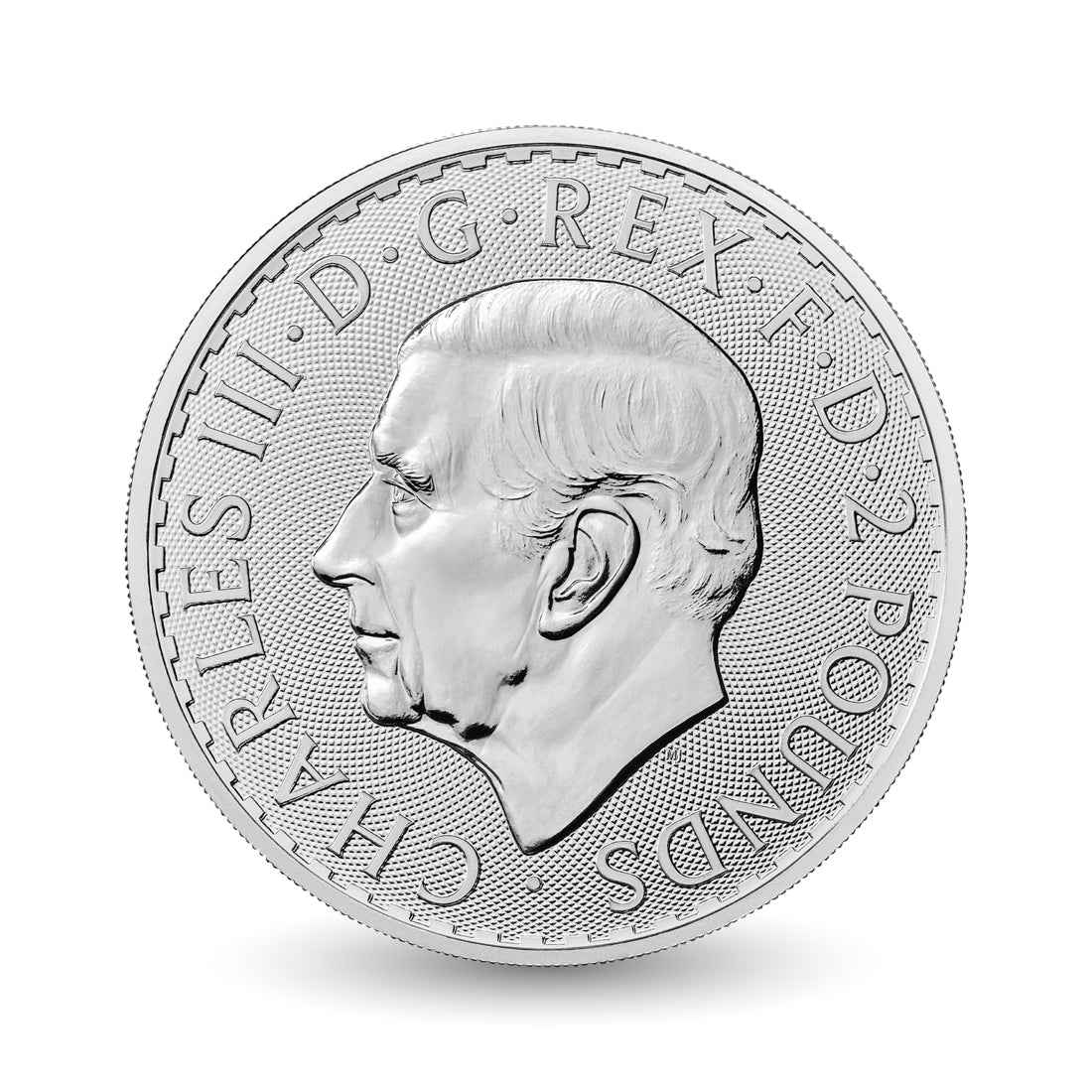 Curious Little Pup 1oz Silver Coloured Coin - Arverni Mint