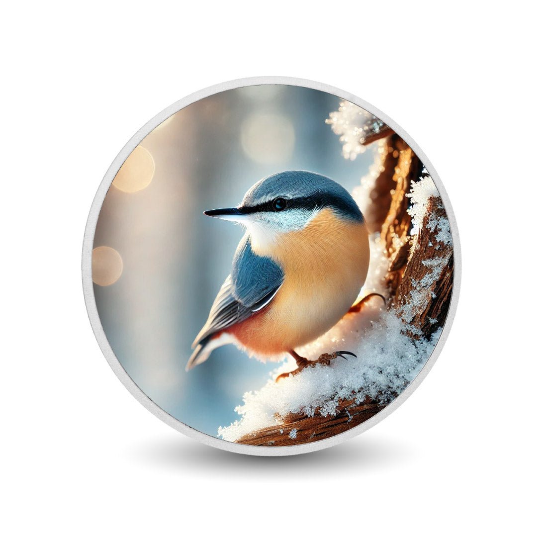 Snowlit Perch: A Nuthatch's Charm 1oz Silver - Arverni Mint