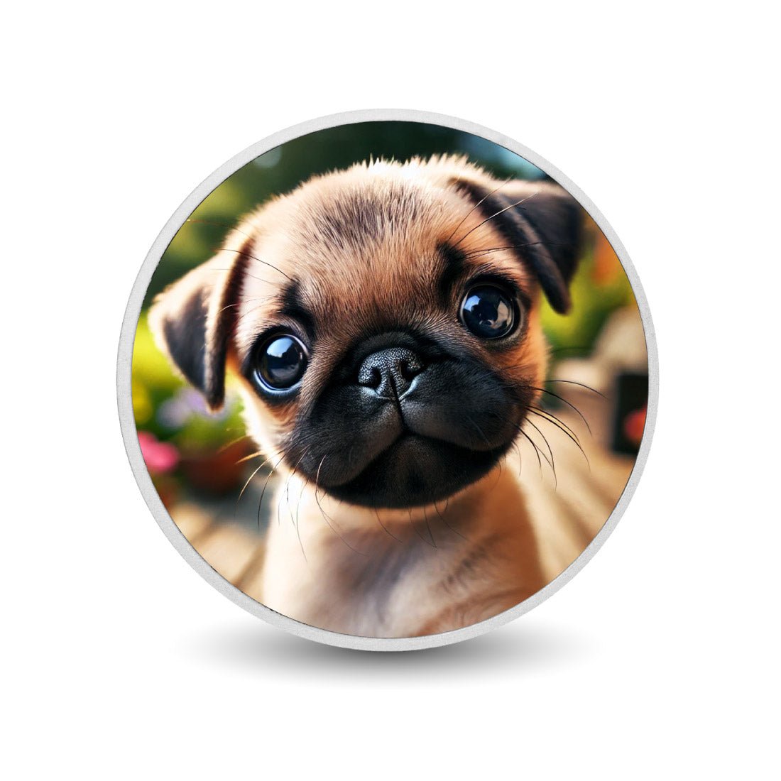 Sweet Pug Gaze 1oz Silver Coloured Coin - Arverni Mint